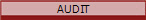 AUDIT