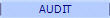 AUDIT